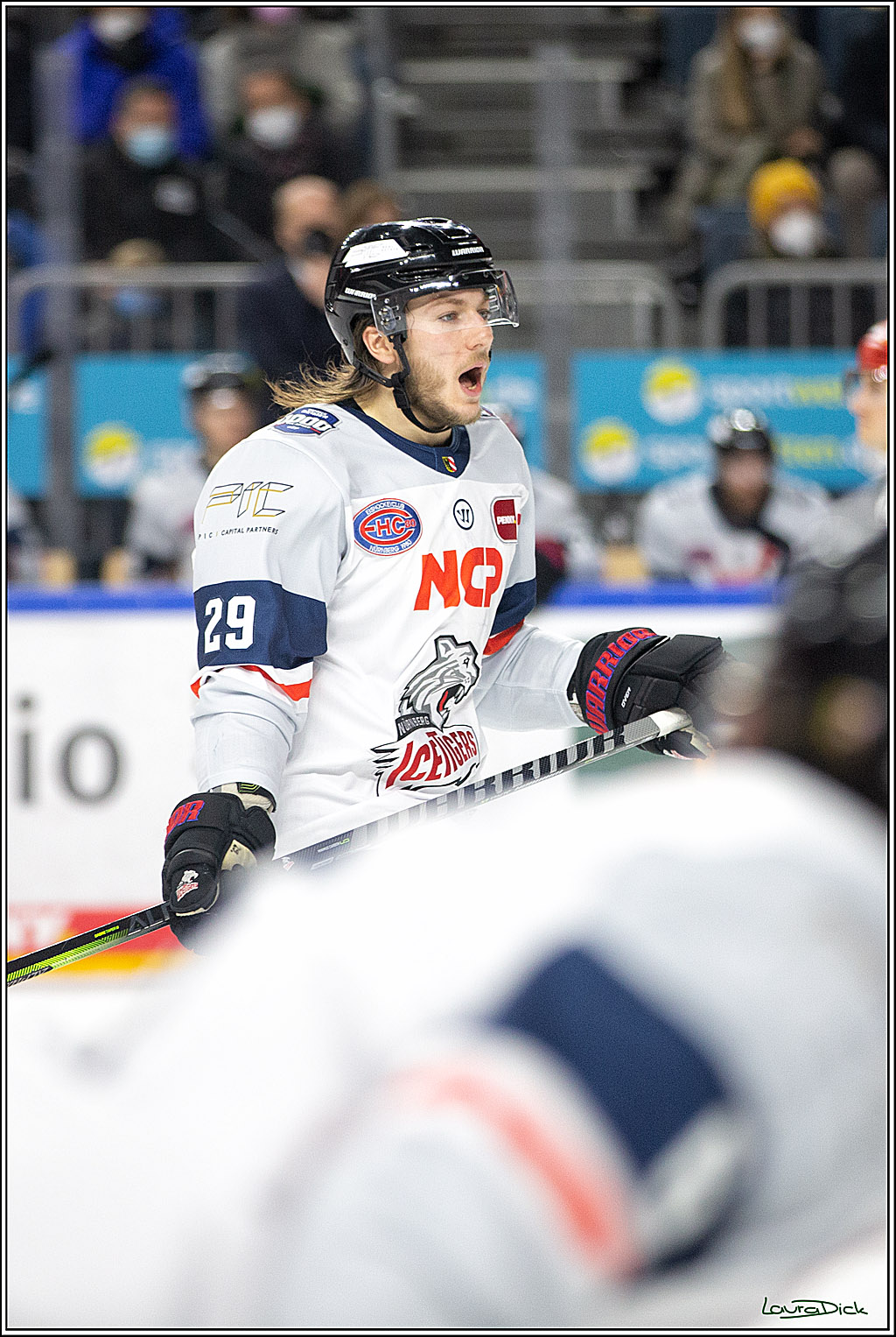 PENNY DEL; Koelner Haie- Nuernberg Ice Tigers; Koeln, 03.12.2021